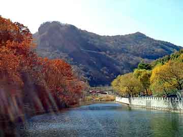 天天下彩票天空同你 管家婆一笑一马100正确 选择作答、落实解释 安卓ios下载安装