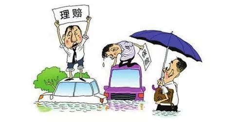 保险定损争议，从国际视角看定损过程中的矛盾与解决 保险定损争议
