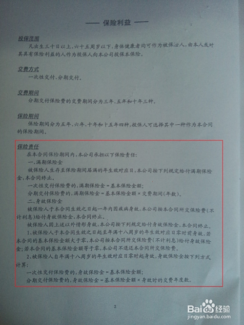 如何轻松查看保险单号—详细指南 怎样查看保险单号