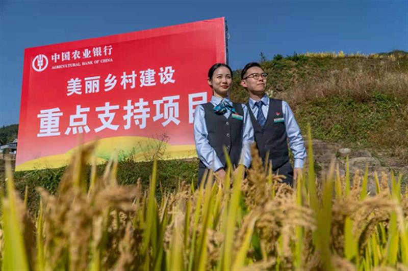 浙江农信理财产品惠农，助力乡村振兴与农民财富增长 浙江农信理财产品惠农