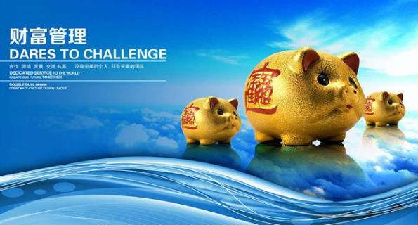 理财公司，财富管理的未来之路 理财公司词语