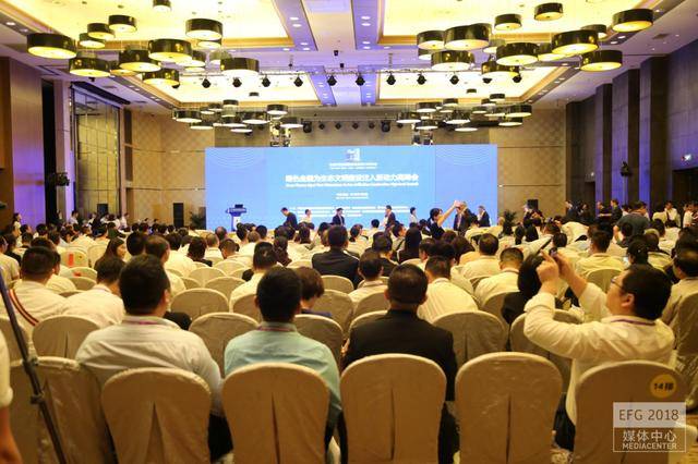 保险基金绿色投资，推动可持续发展的金融新动力 保险基金绿色投资是什么