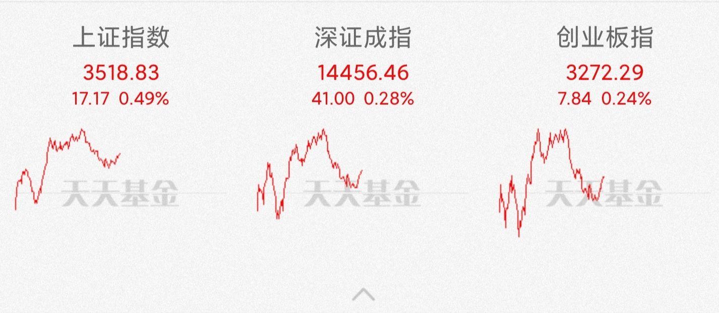 招商白酒基金代码详解与市场分析 招商白酒基金代码是多少
