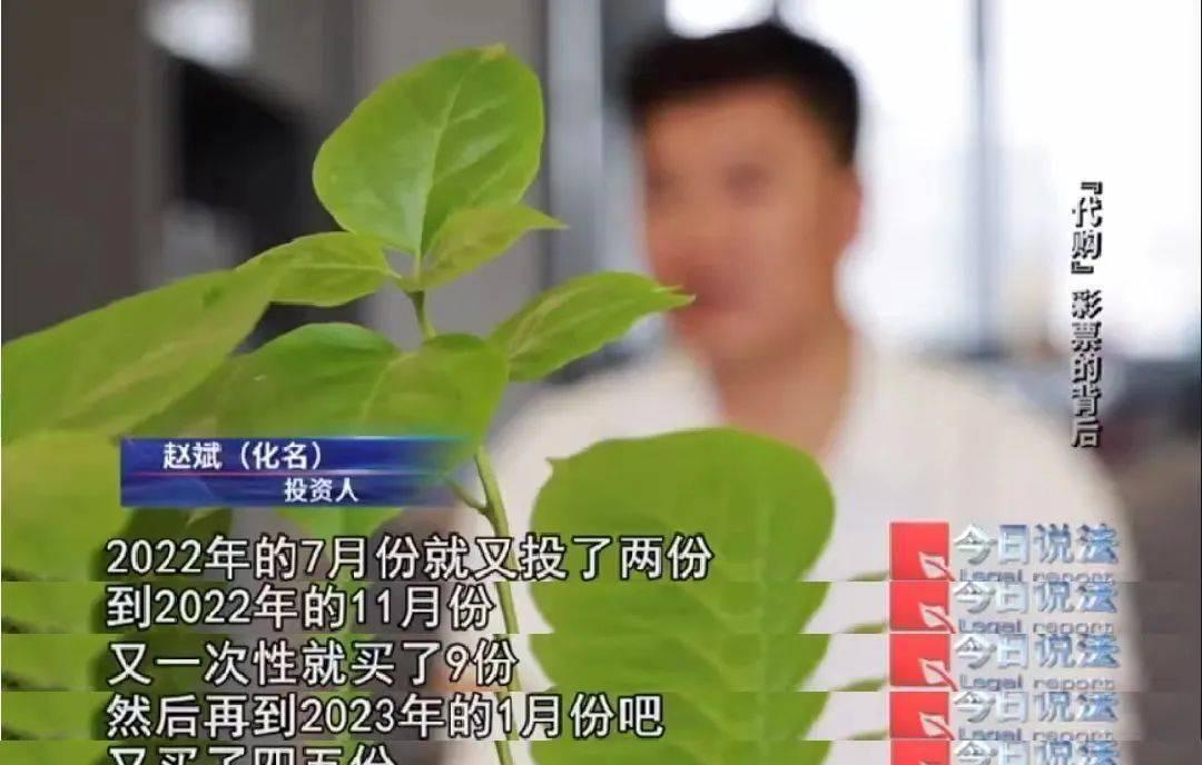 稳定投资理财选择—如何实现财富的稳健增长 稳定投资理财选择
