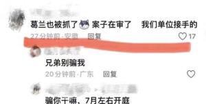 基金经理葛兰出名的背后，投资智慧与市场洞察 基金经理葛兰出名
