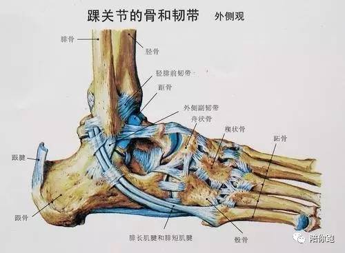 打篮球后腓骨酸痛的成因与缓解策略 打篮球腓骨酸痛
