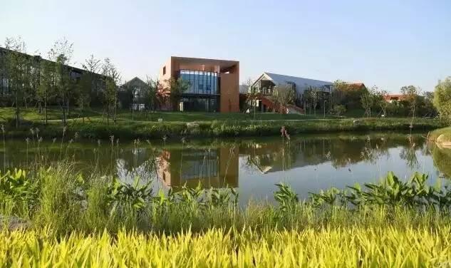 余杭农村商业银行理财，农村金融的新篇章 余杭农村商业银行理财