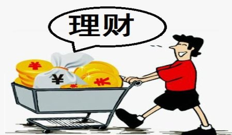 保险理财与理财保险，深度解析其差异与联系 保险理财和理财保险区别